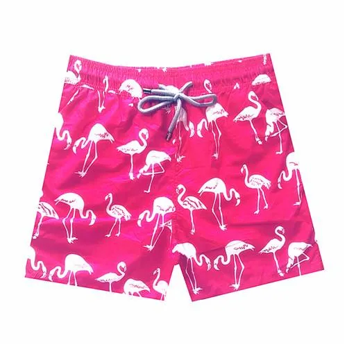2018 Brand Vilebreq Beach Board Shorts Men Swimwear Flamingo Dolphin Mermaid Turtles Mens Bathing Short Brequin Quick Dry M-XXXL