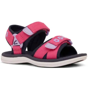 CLARKS FERN