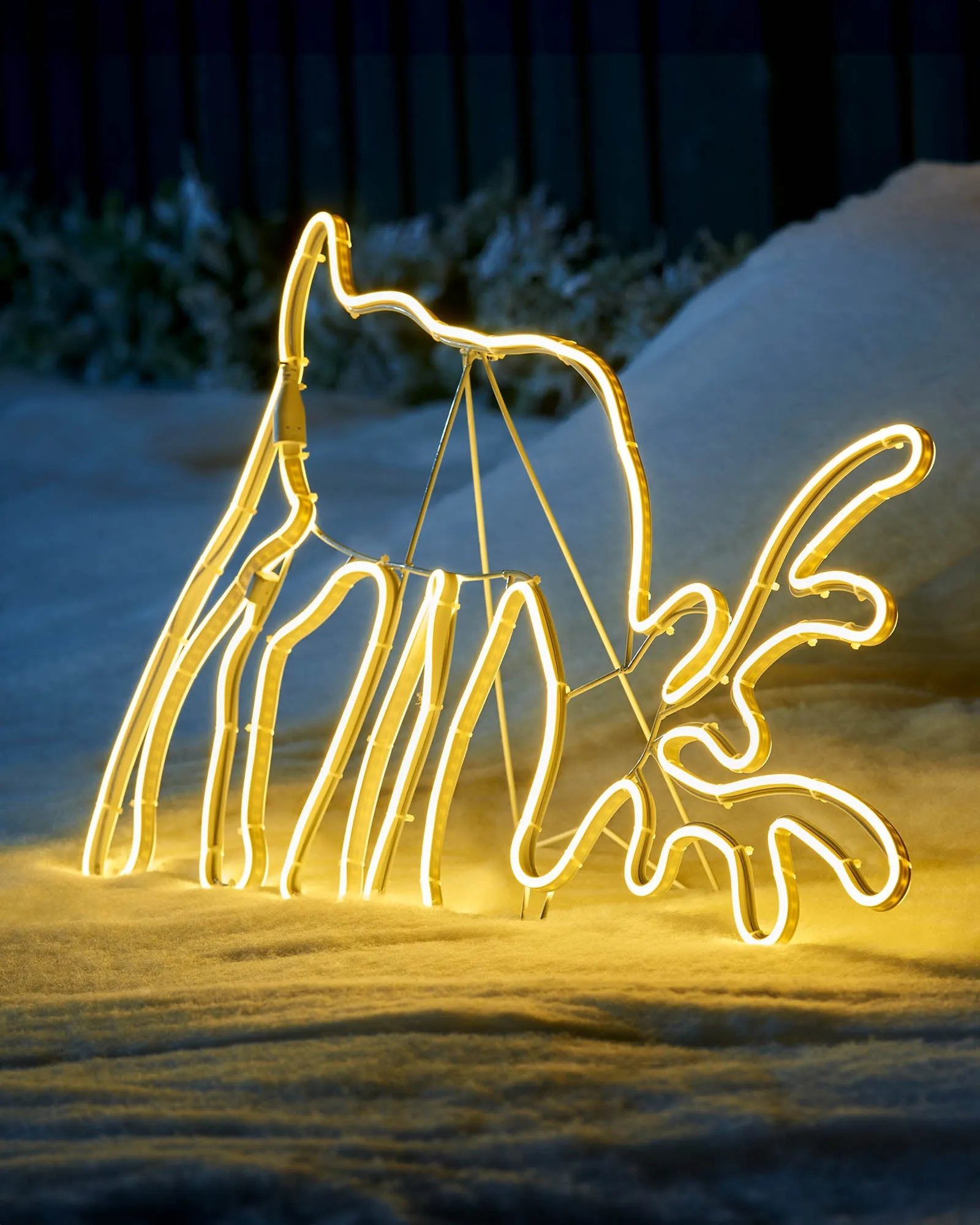 Grazing Reindeer Neon Rope Light Silhouette, 82 cm