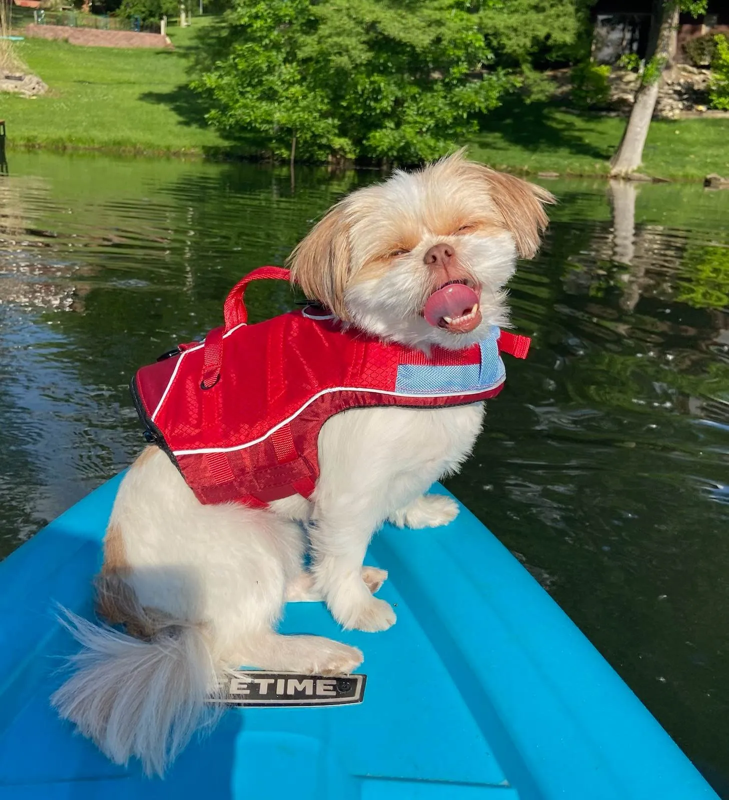 Kurgo Surf n Turf Life Jacket Red S