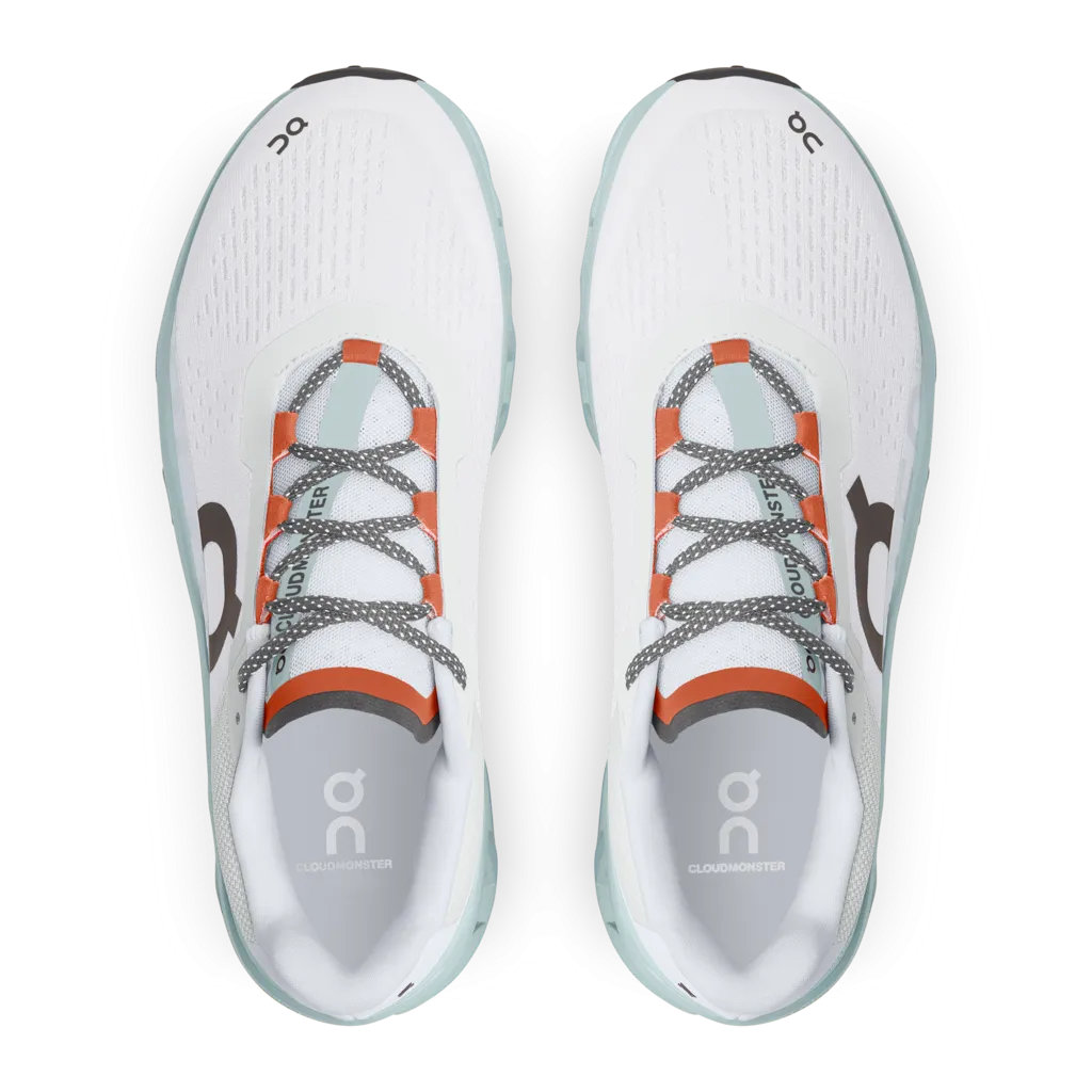 On Cloudmonster Mens